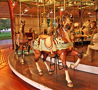 Picture of carousel horse