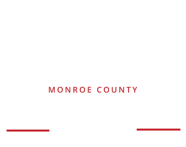 Monroe County Veterans Day Parade: A Salute To Service