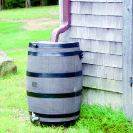 Rain Barrel