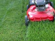 Push lawn mower mowing grass