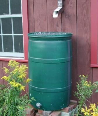 Rain Barrel