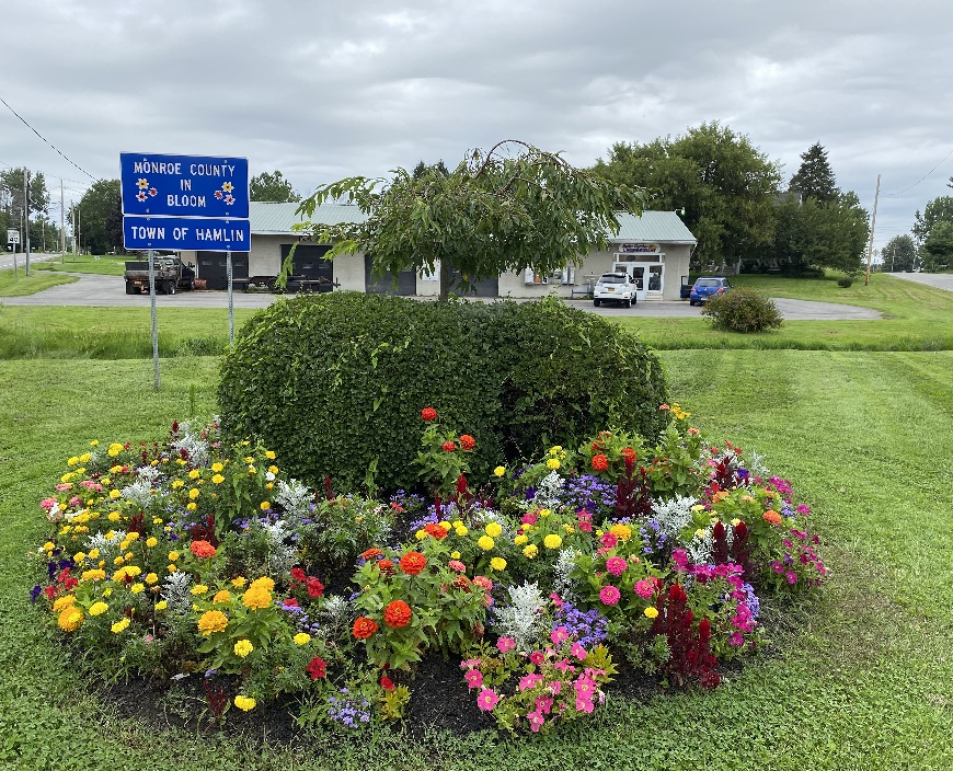Photo of a Bush surrounded by different color flowers with a sign of "Monroe county in bloom"