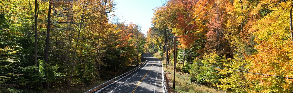 Photo landscape of open road in the fall
