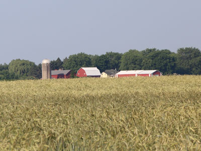 Farm field