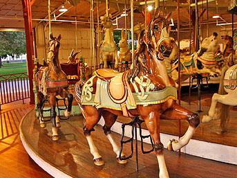 Picture of Carousel