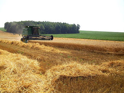 Photo of Farmland