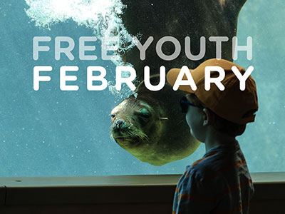 Free Youth February Graphic