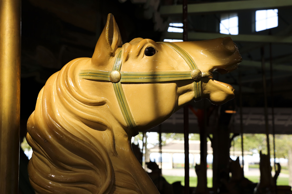 Photo of carousel