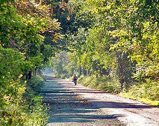 A lone cyclist on the linear trail
