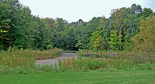 Image of Water at Greece Canal Park