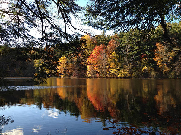 Fall image of water at Durand Eastman Park