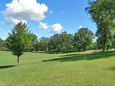 Picture of trees & sky at Genesee Valley Park