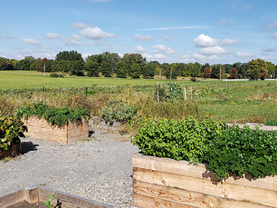 Photo of garden