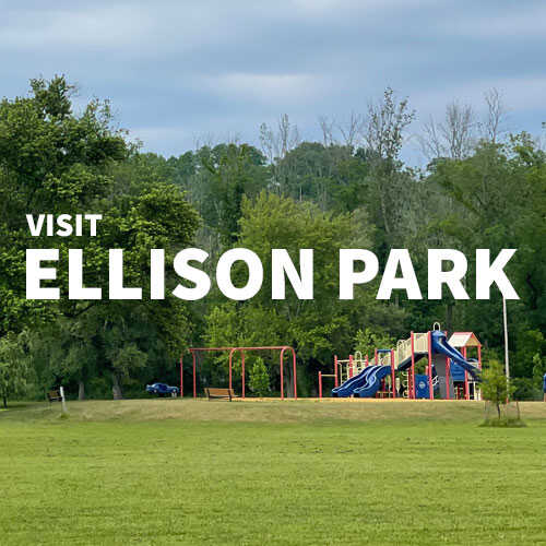 Visit Ellison Park