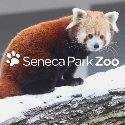 Seneca Park Zoo